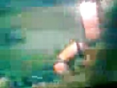 hamster video gratuit