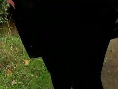 La salope à double pénétration Dana Dearmond video sexe gratuite aime les trois grosses bites